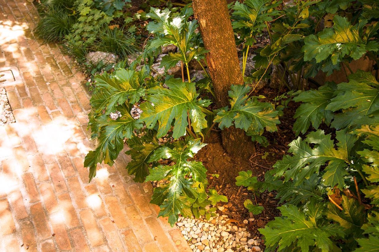 Apartmán Urban Jungle Boloňa Exteriér fotografie