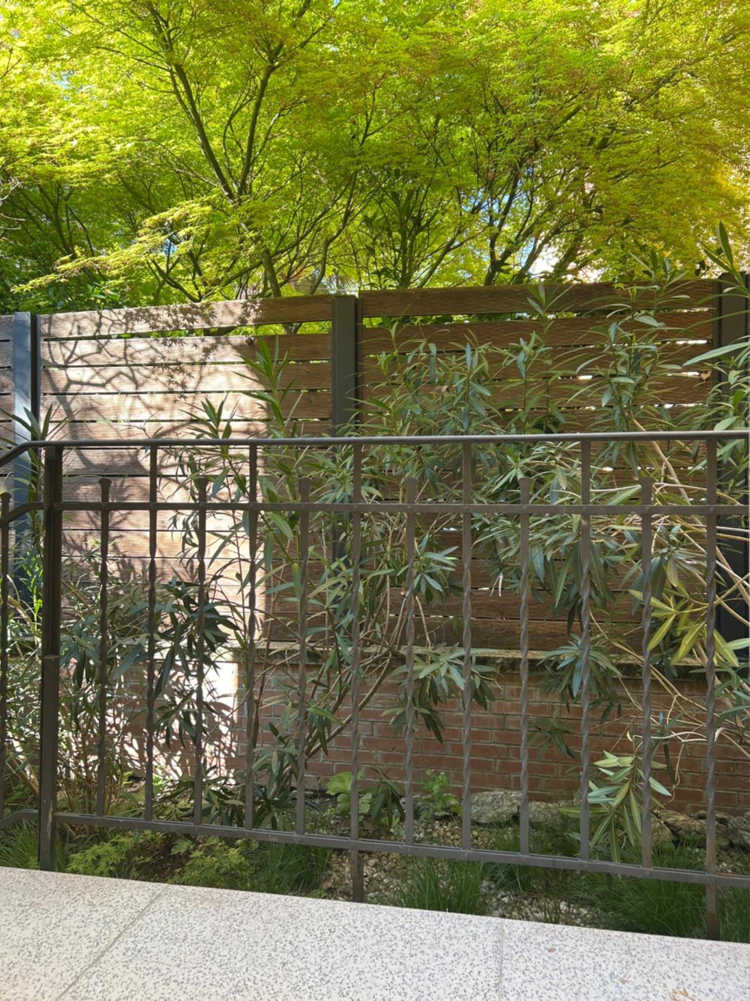 Apartmán Urban Jungle Boloňa Exteriér fotografie